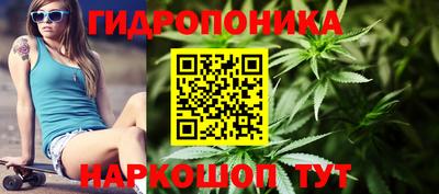 дживик Кингисепп