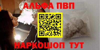 дживик Кингисепп
