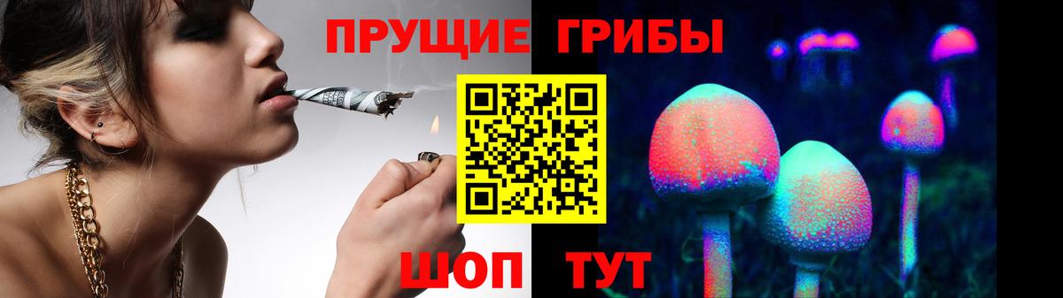 Псилоцибиновые грибы MAGIC MUSHROOMS Глазов